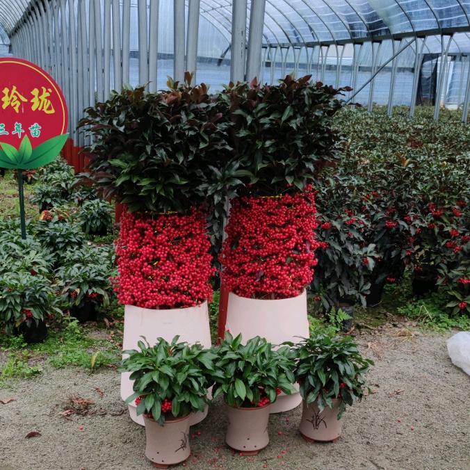 集思广益