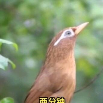小墨江