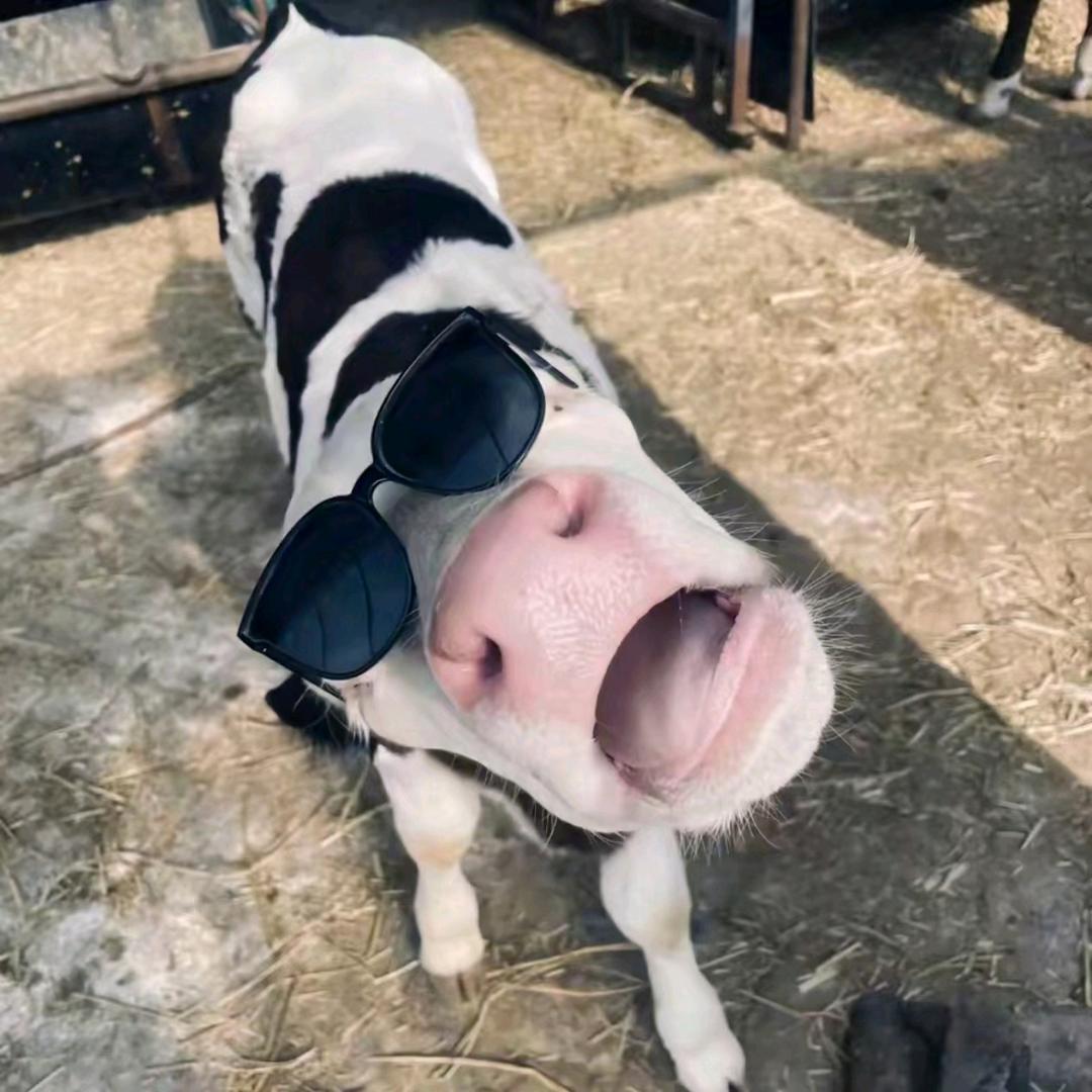 不知道改什么名字