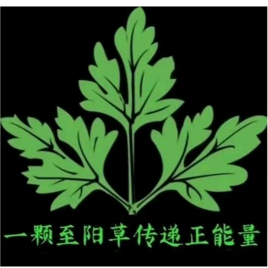 彩虹星期天音乐主播下午13点