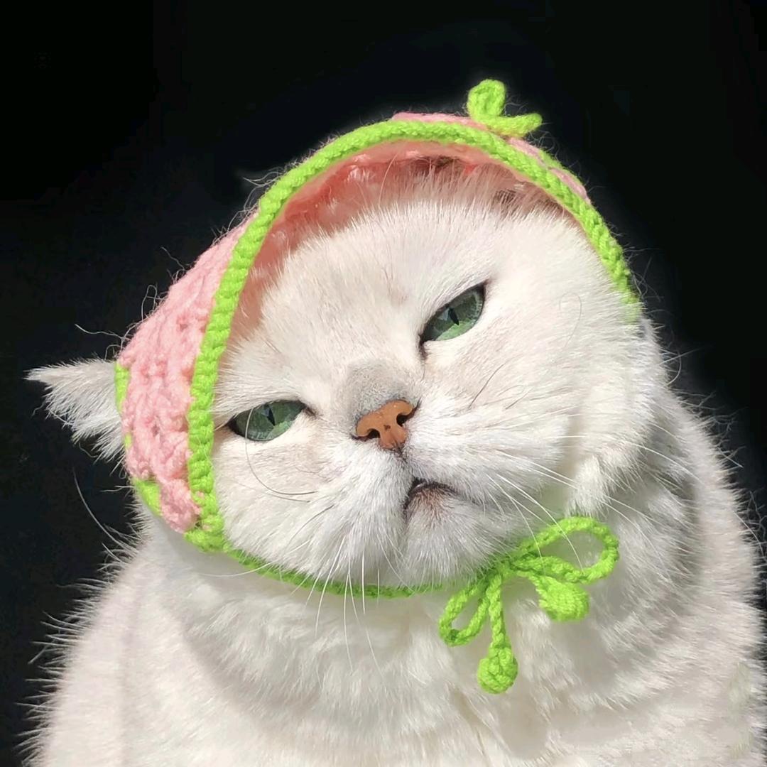 橘淮
