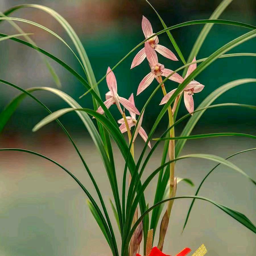 满福饺香砂锅店