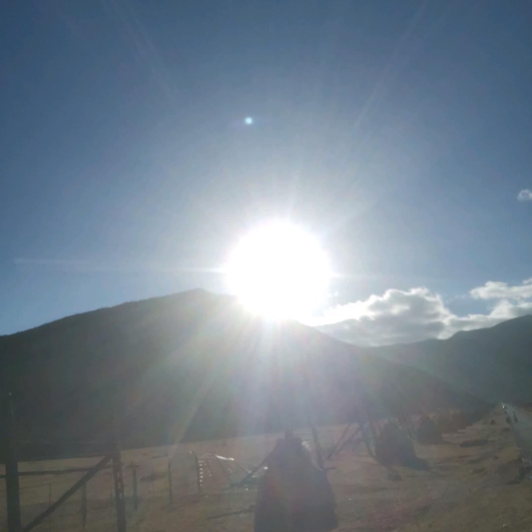 勐库戎氏茶叶.南华店