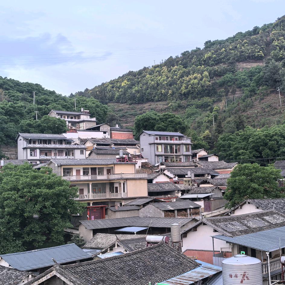 山隐老郑