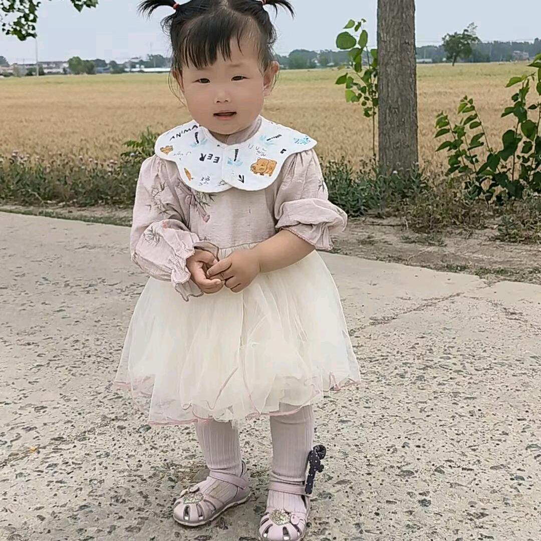 1️⃣1️⃣儿歌