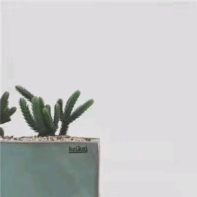 胡涛