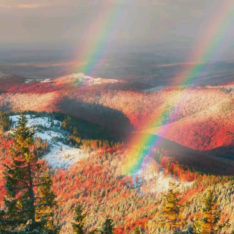 用户2977587598105红珊瑚