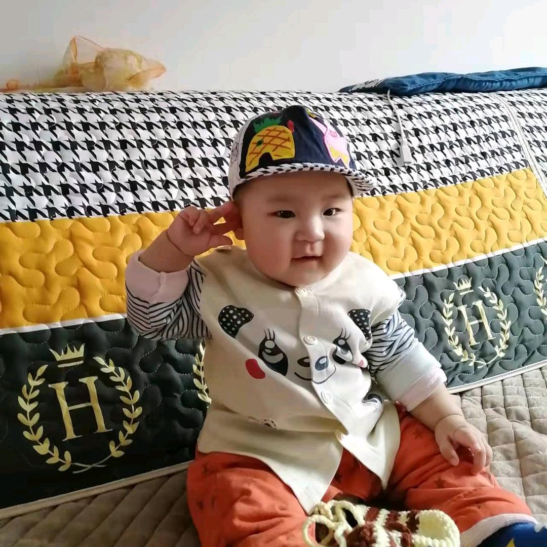 👍 燕 子 🐒🐒