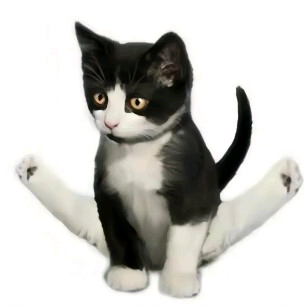 Cu