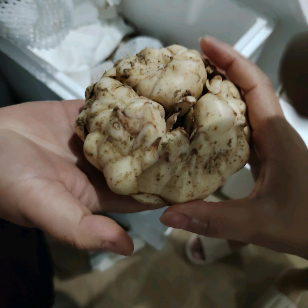 百合小陈