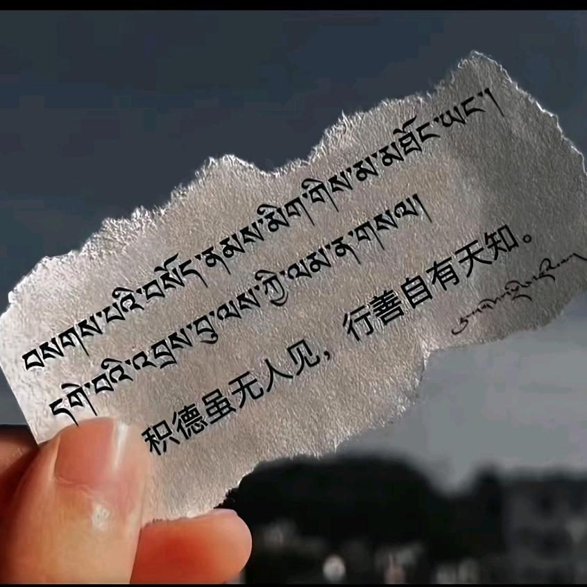 1376拉萨房产顾问