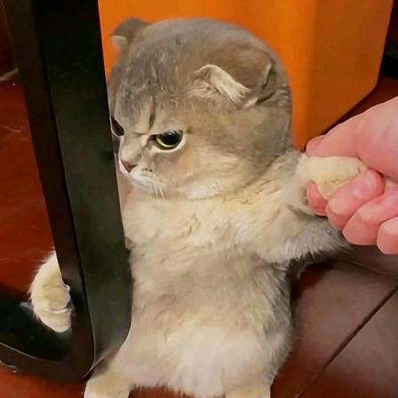 ࿐