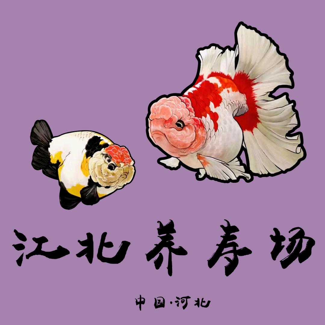 江北渔韵