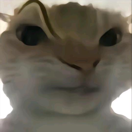 ZBX