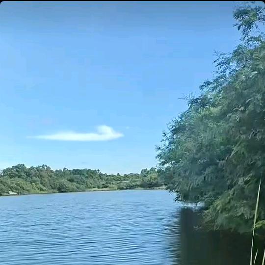 空             白