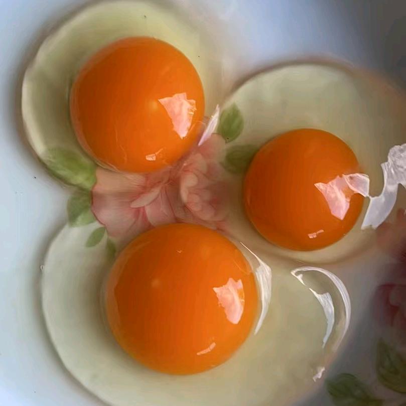 有机蛋蛋(专卖店)