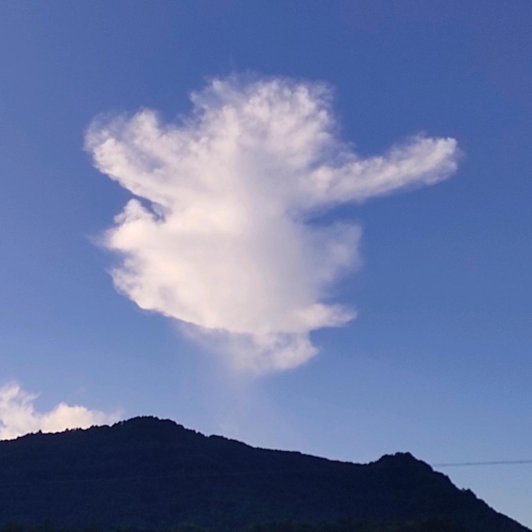 独闯天涯
