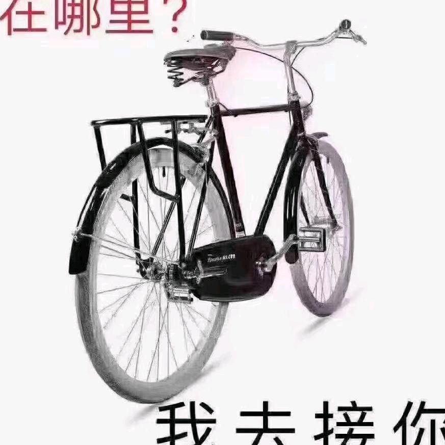 虎哥518