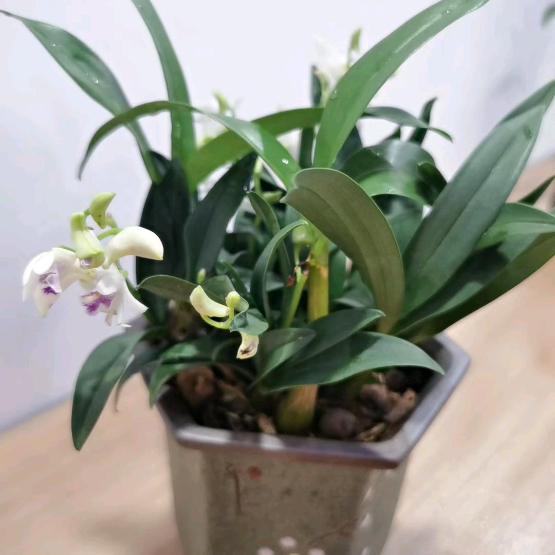 平平淡淡