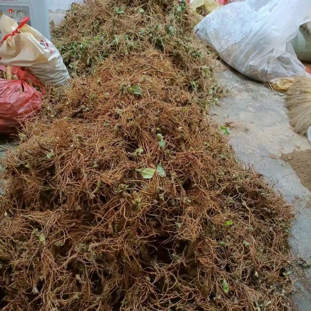 有悠可福！
