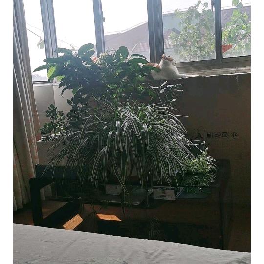 🌈昨天今天下雨天