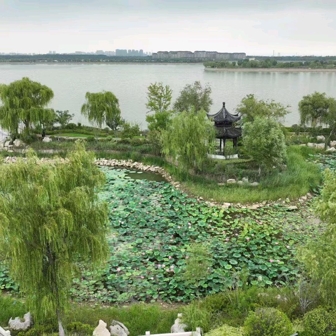 安德湖涵田酒店媛媛