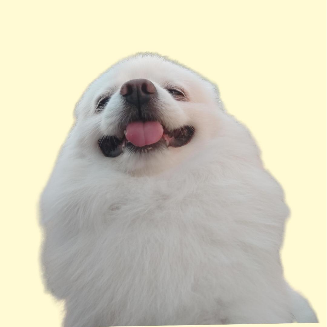 Mark