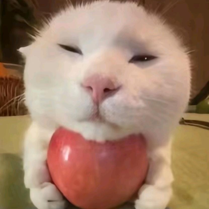 Demo的大嘴巴😜