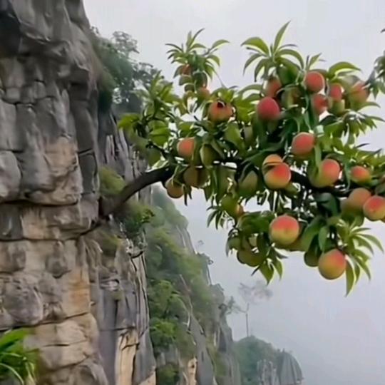 人生如水流一去不回头