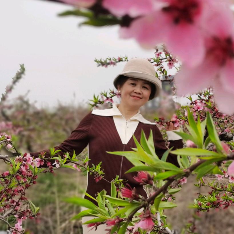 缘来如此