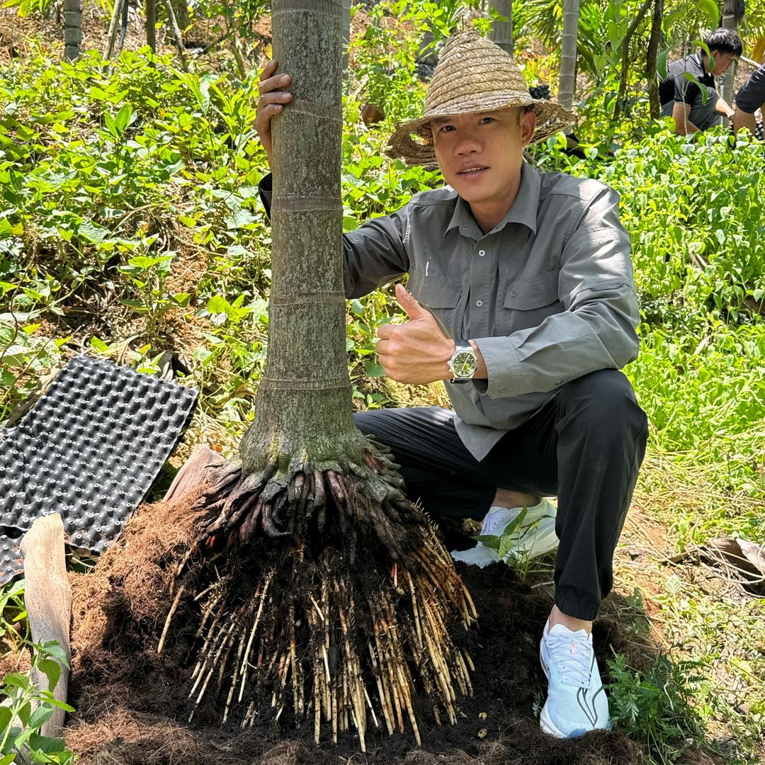 老班长农业