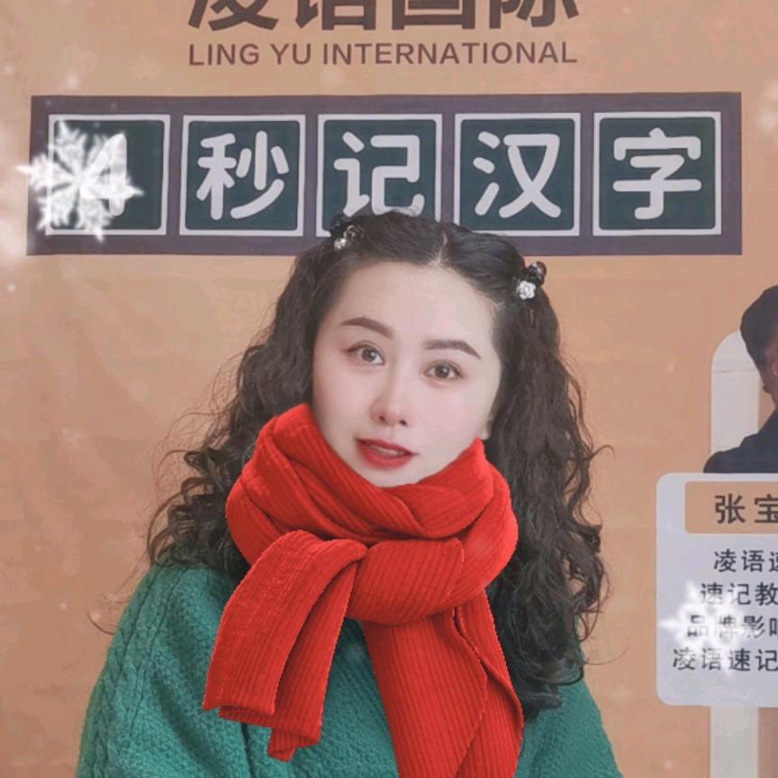 凌语速记识字易成红老师