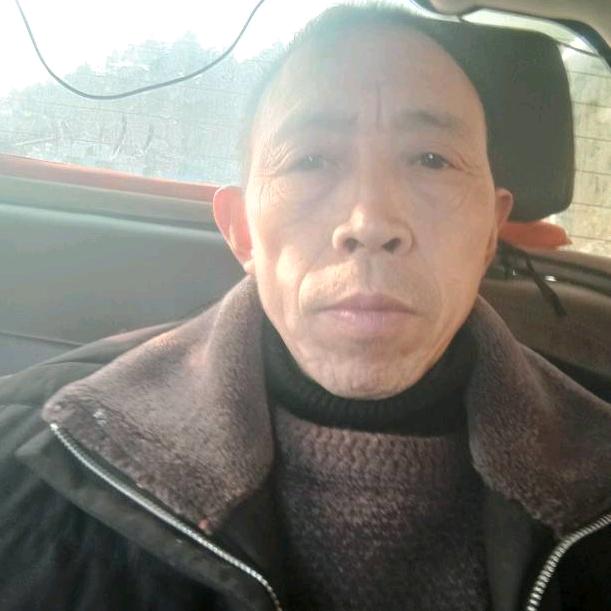 秋天的枫叶