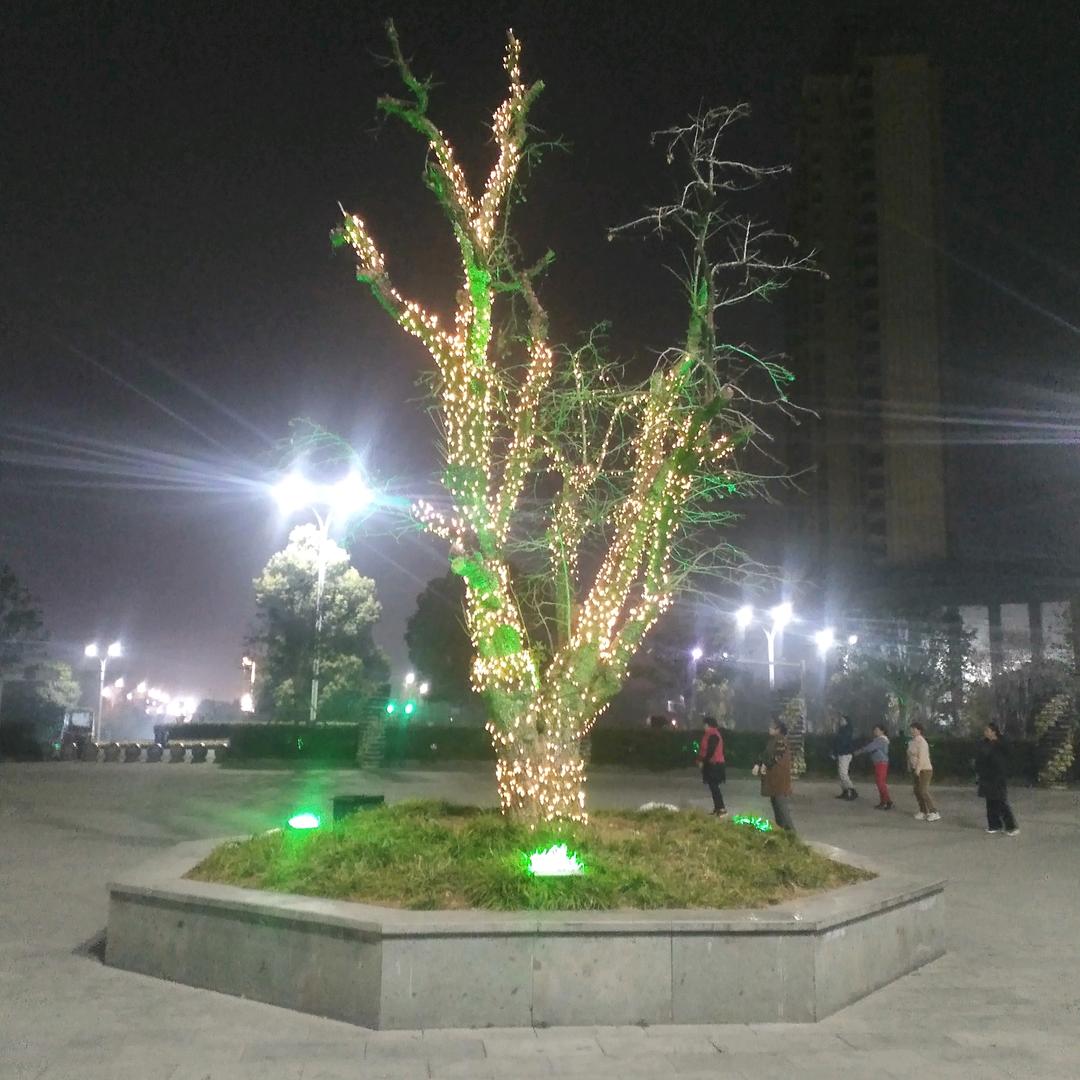 陈强。