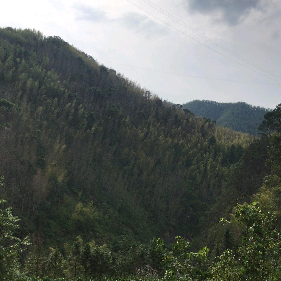 小蒋电动车修理