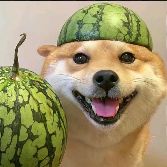 娱小舆
