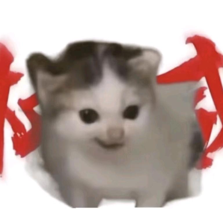 王某