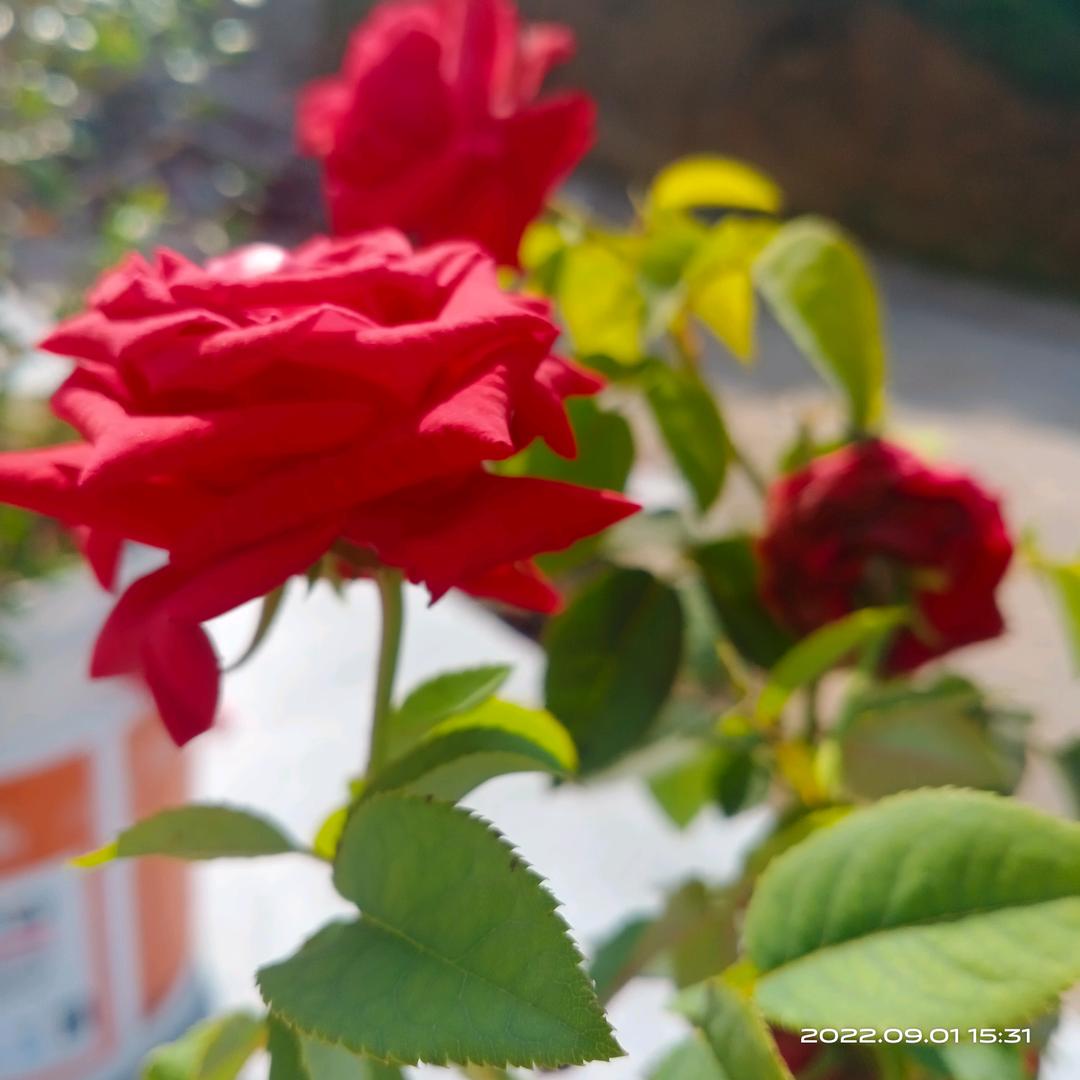 丽人坊服饰优选