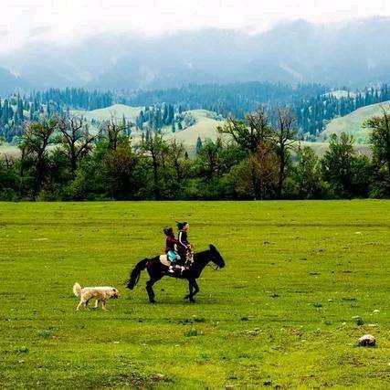 别把（）人弄丢了