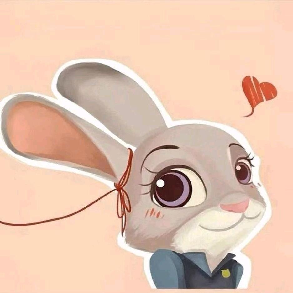 暴脾气的小萌兔