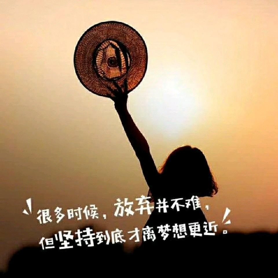 口贝兔