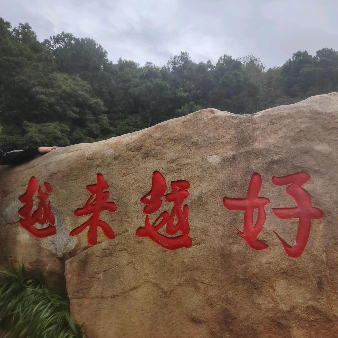 猪猪侠👿👿👿