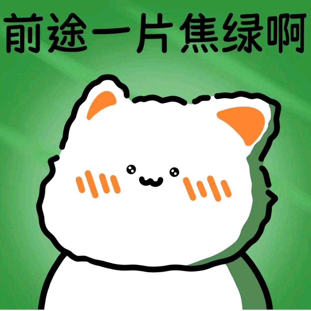 山见雾