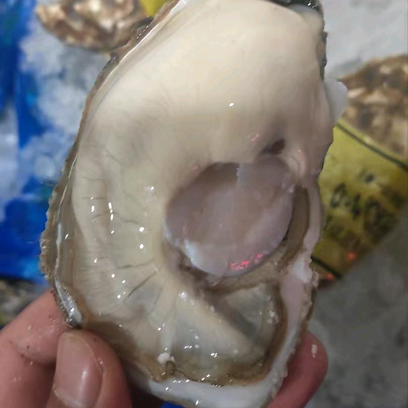滨濠水产长春直营店