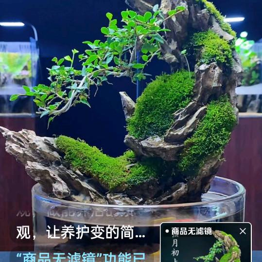 向哥石艺店《青龙石》