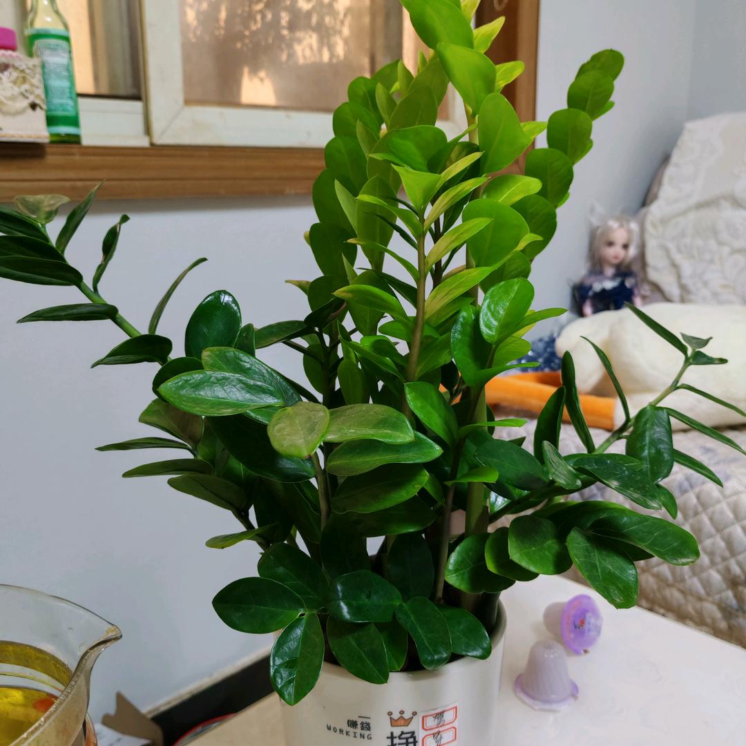 静想时光