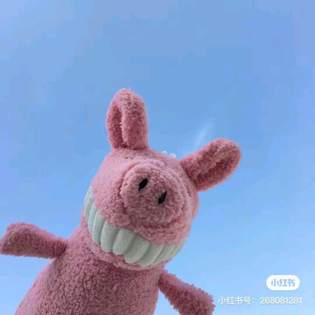一个不务正业的养兔任
