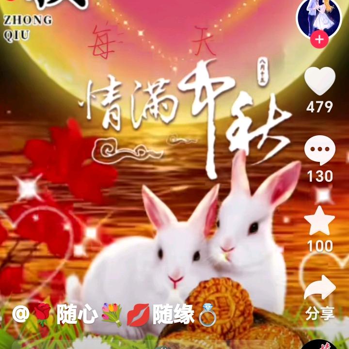 好运连连哥🐇🐇