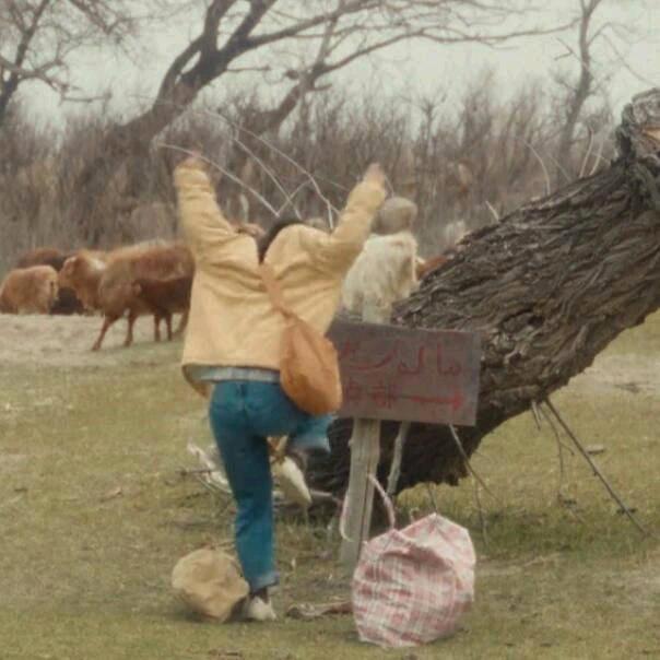 Daily Escape