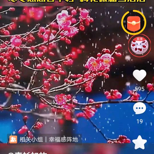 春风楼的周院长头像